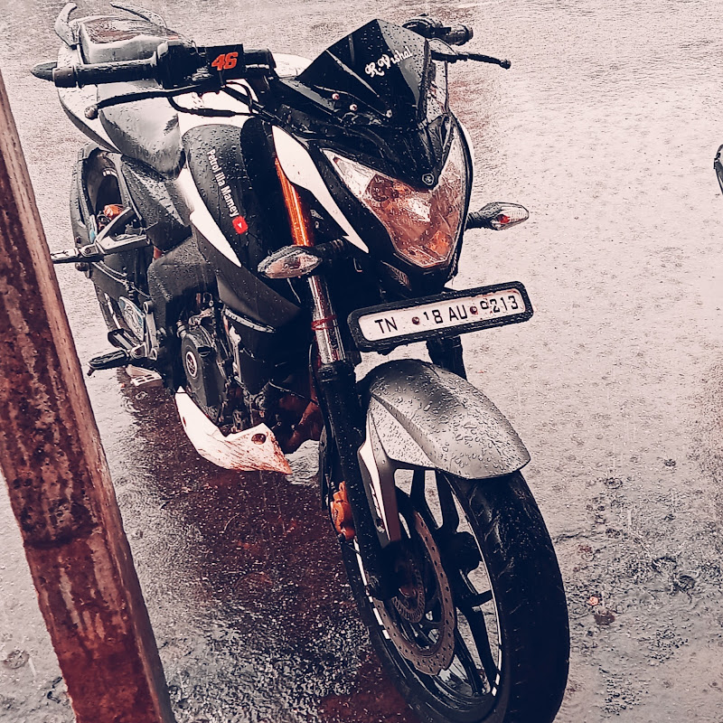petrol illa Mamey
