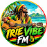 OMI_cKM_2xA-channel-avatar-IRIE VIBE FM