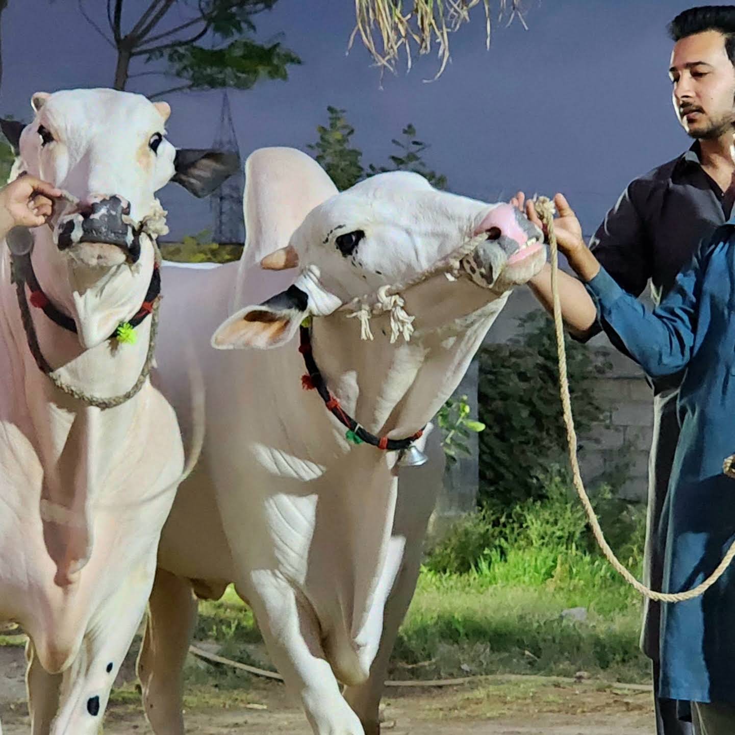 Post from JNTV