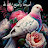 @ahmadjaafir-ue9dd