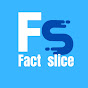 FACT SLICE logo