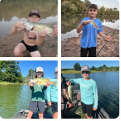 Backyard fishing