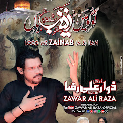 Zawar Ali Raza Official  ?  net worth