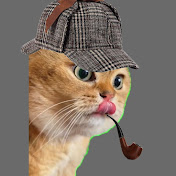 SherCAT H. Junior