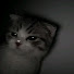 OyWJRK74zv4-channel-avatar-lalucianaaa