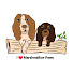 619-esGa7hQ-channel-avatar-I love marshmallow paws