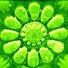 6depyfPeb-I-channel-avatar-biodynwiki
