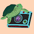 L40gfY4RYwc-channel-avatar-TurtleCamera