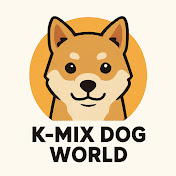 K-dog luxury daily life