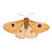 @Moth_Moth_Moth