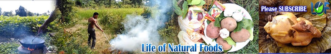 Life of Natural Foods YouTube channel avatar