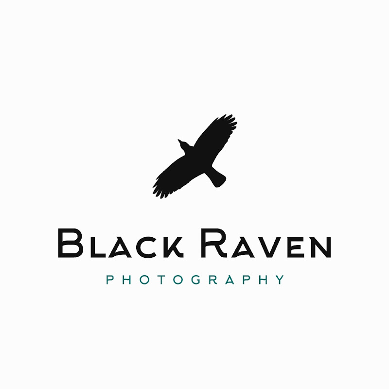Black Raven Photography