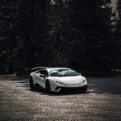 Anish pro