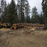 eVHfyfHmLag-channel-avatar-Forestry Fun