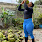 La Chica Del Coco 