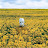 @yeellowjacket's avatar