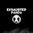 yPZZ_wtJIhg-channel-avatar-Exhausted Panda