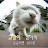@구염둥이AA