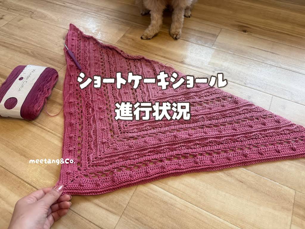 手編み ショートケーキ風ブランケット YouTube