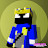 @crafting24gamer Avatar