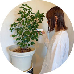 バボ⌇家に余白を持たせる整理術アイコン画像