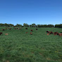 Farmer mark stabilisers cattle  - @farmermarkstabiliserscattl2391 YouTube Profile Photo