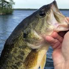 BackyardFishing