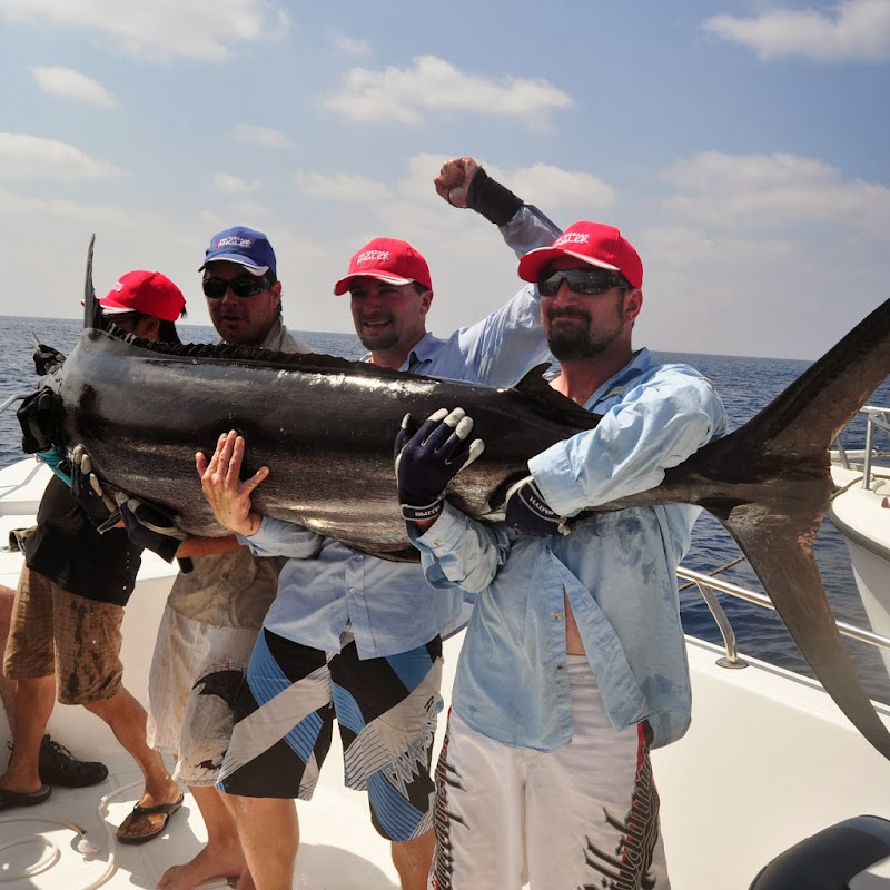 INSALT FISHING icon
