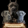 What could canecorsoseth buy with $314.51 thousand?