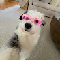 Lucy Lou