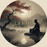 QxO-4sS1Svw-channel-avatar-ДЗЕНАРИ