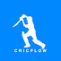 -tc0BTWJbIk-channel-avatar-CricFlow