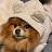 @heidi2t's avatar