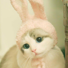 홍수아빠돌이 - Hongsoo Father Doli