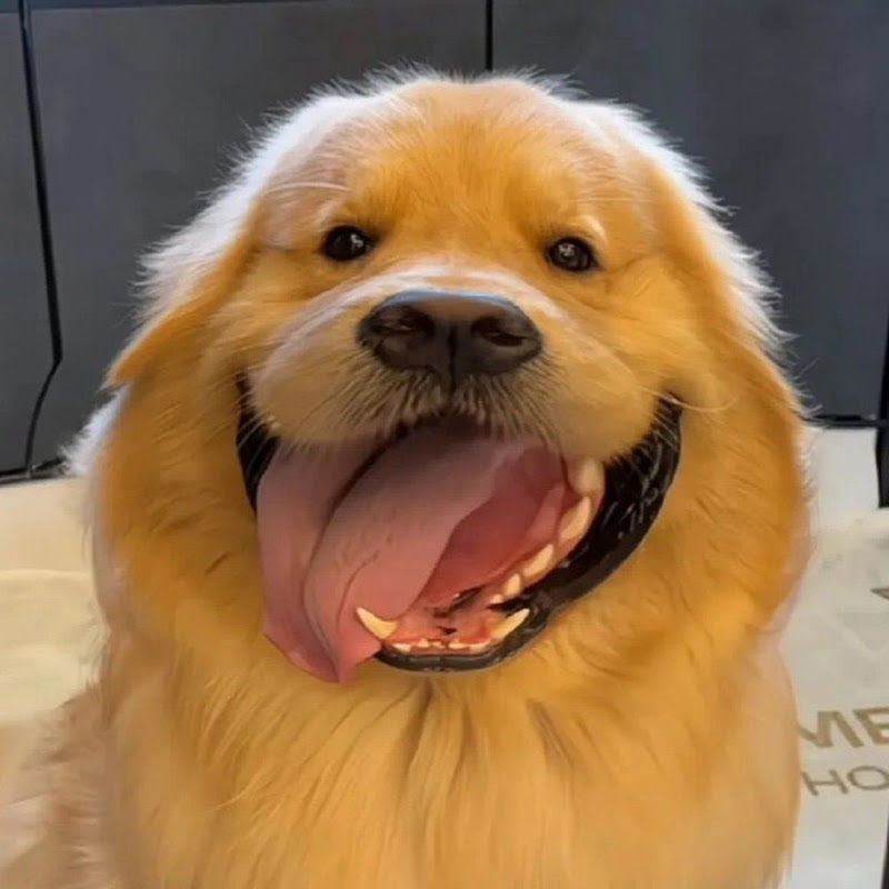 超夢の推しシネマ Logo