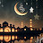 @hanayoussef1464