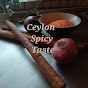Ceylon Spicy Taste logo