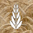 6gmIP4lSR4Q-channel-avatar-Calvary Flathead