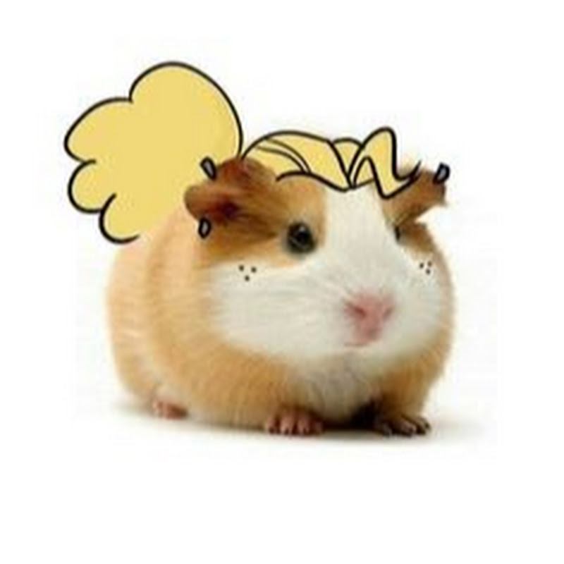 Gothic hamster
