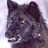 @thuluslime5364's avatar