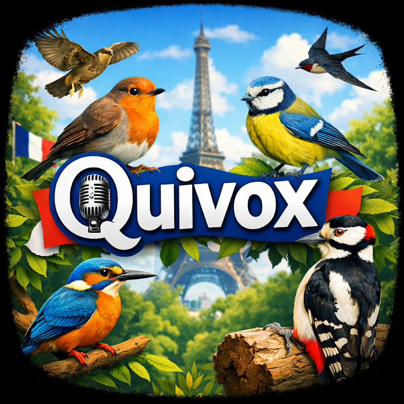 Quivox