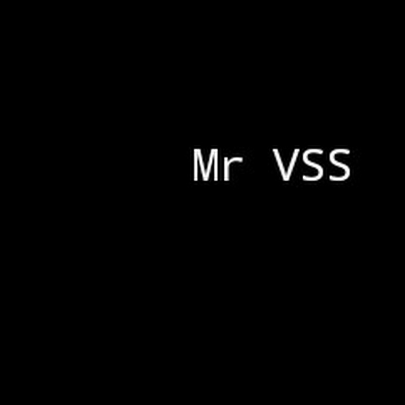 Mr VSS
