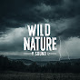 Wild Nature Sounds logo