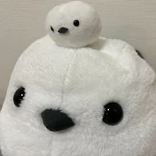 フェリモミちゃんねる