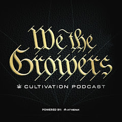 Thumbnail of related channel