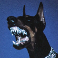 Noxitz avatar