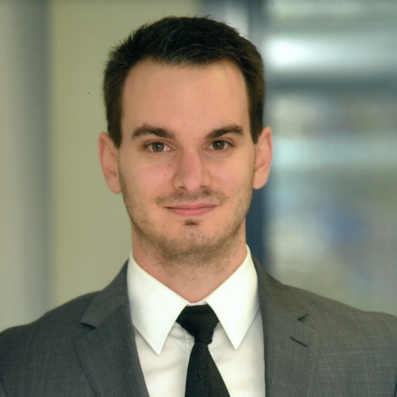 Programming with Wolfgang Logo