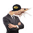 aVGFT62DOJY-channel-avatar-Shrimpocalypse