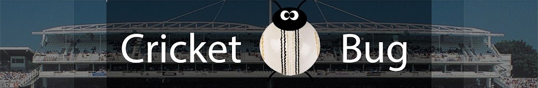 Cricket Bug رمز قناة اليوتيوب