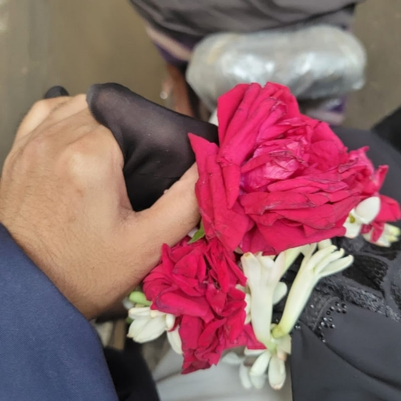 Ayesha Jannat (আয়েশা জান্নাত)